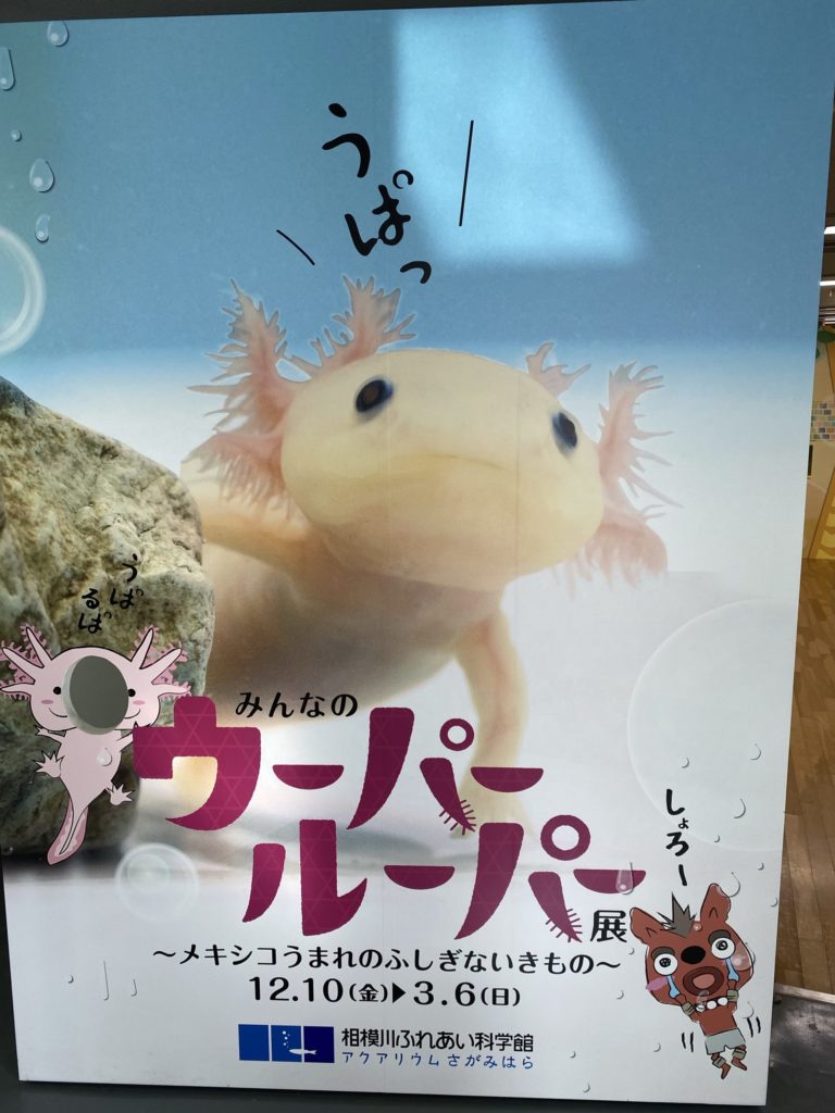 アクアリウムさがみはら