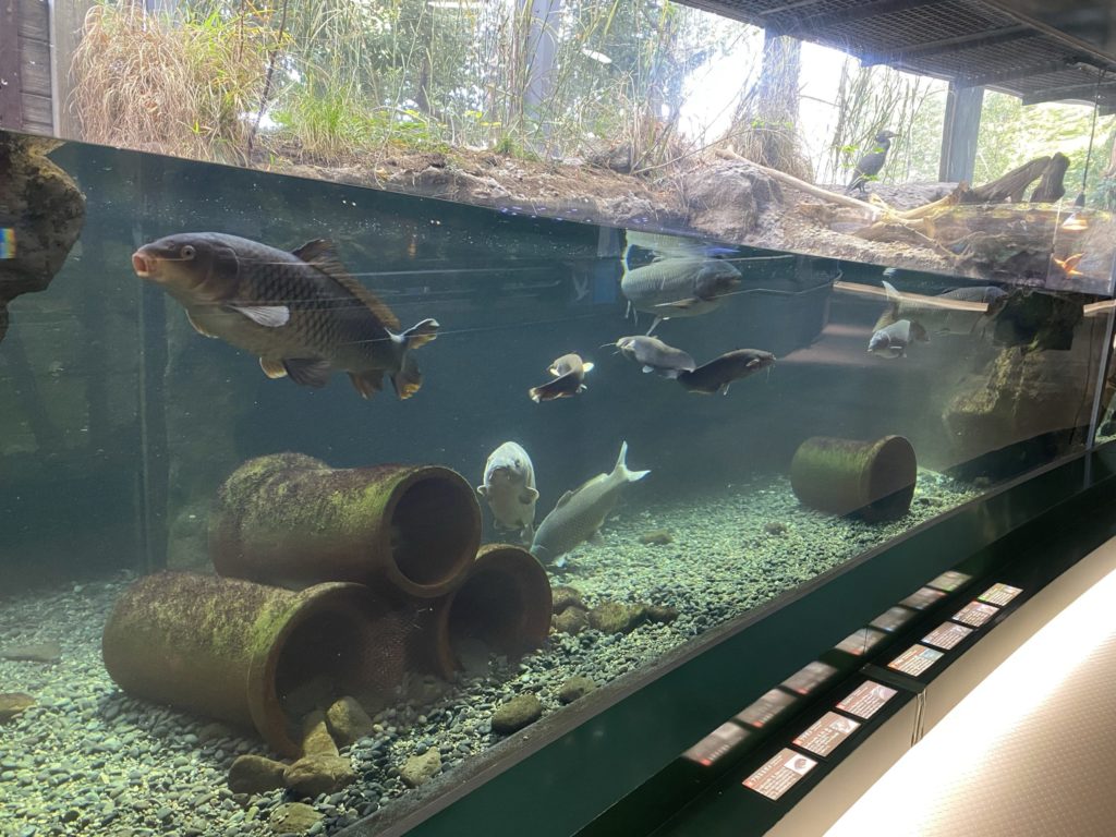 アクアリウムさがみはら