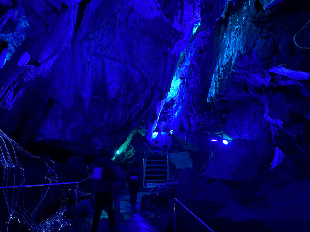 あぶくま洞 期間限定ライトアップ